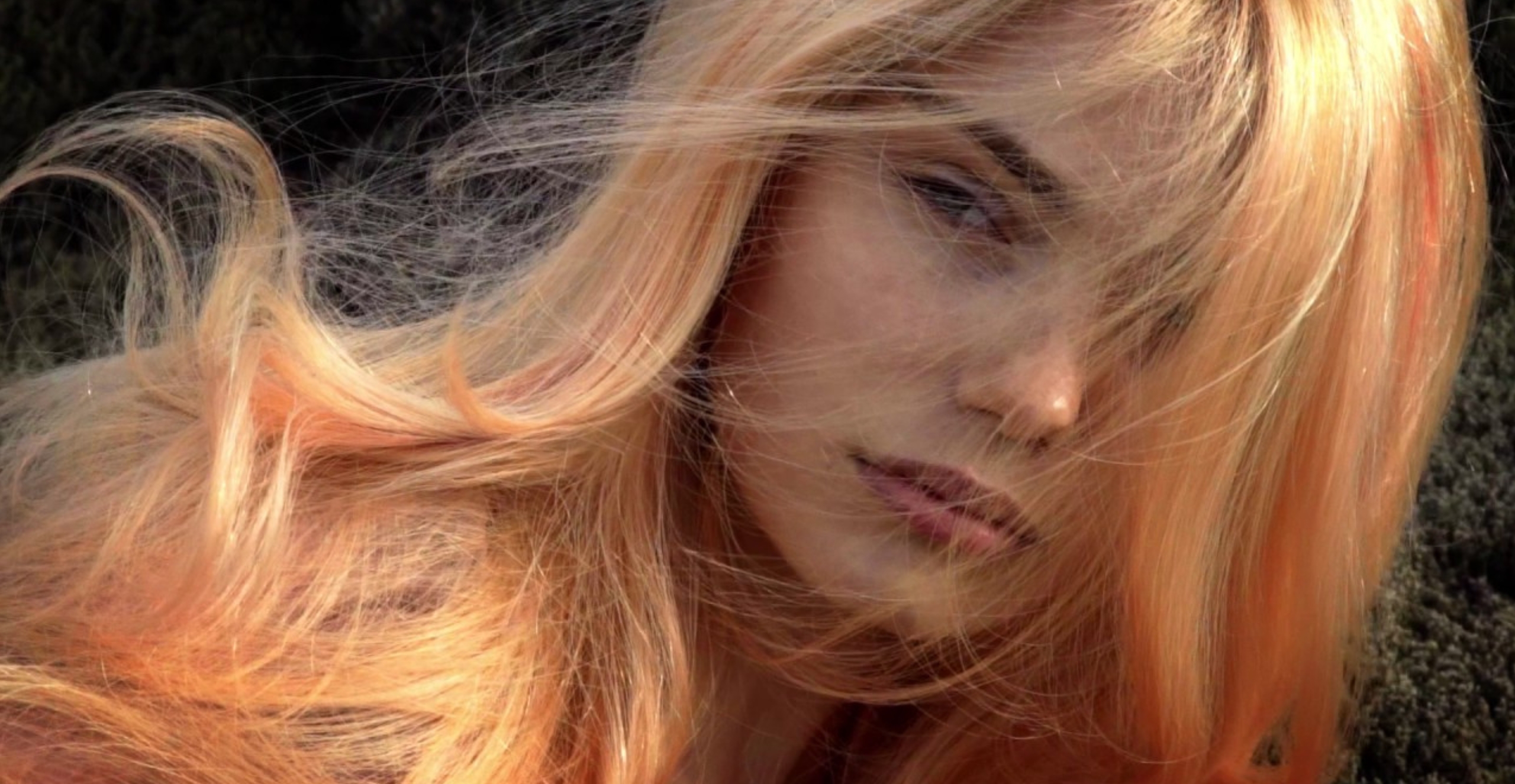 Banner Bild 2